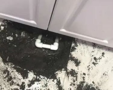 岱山查漏水哪家好