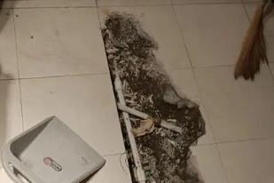 岱山卫生间漏水检测电话
